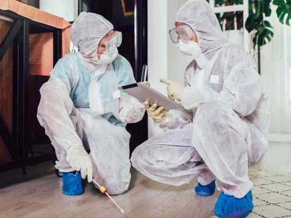 The Reasons for Hiring Bedbug Exterminators