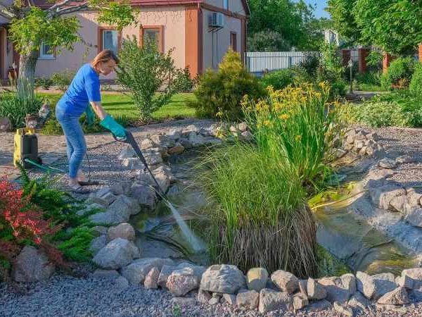 Best Reasons Why You Should Hire the Services of a Reputable Pond Maintenance Company